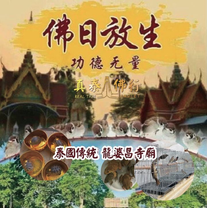 龍婆昌放生大圖1