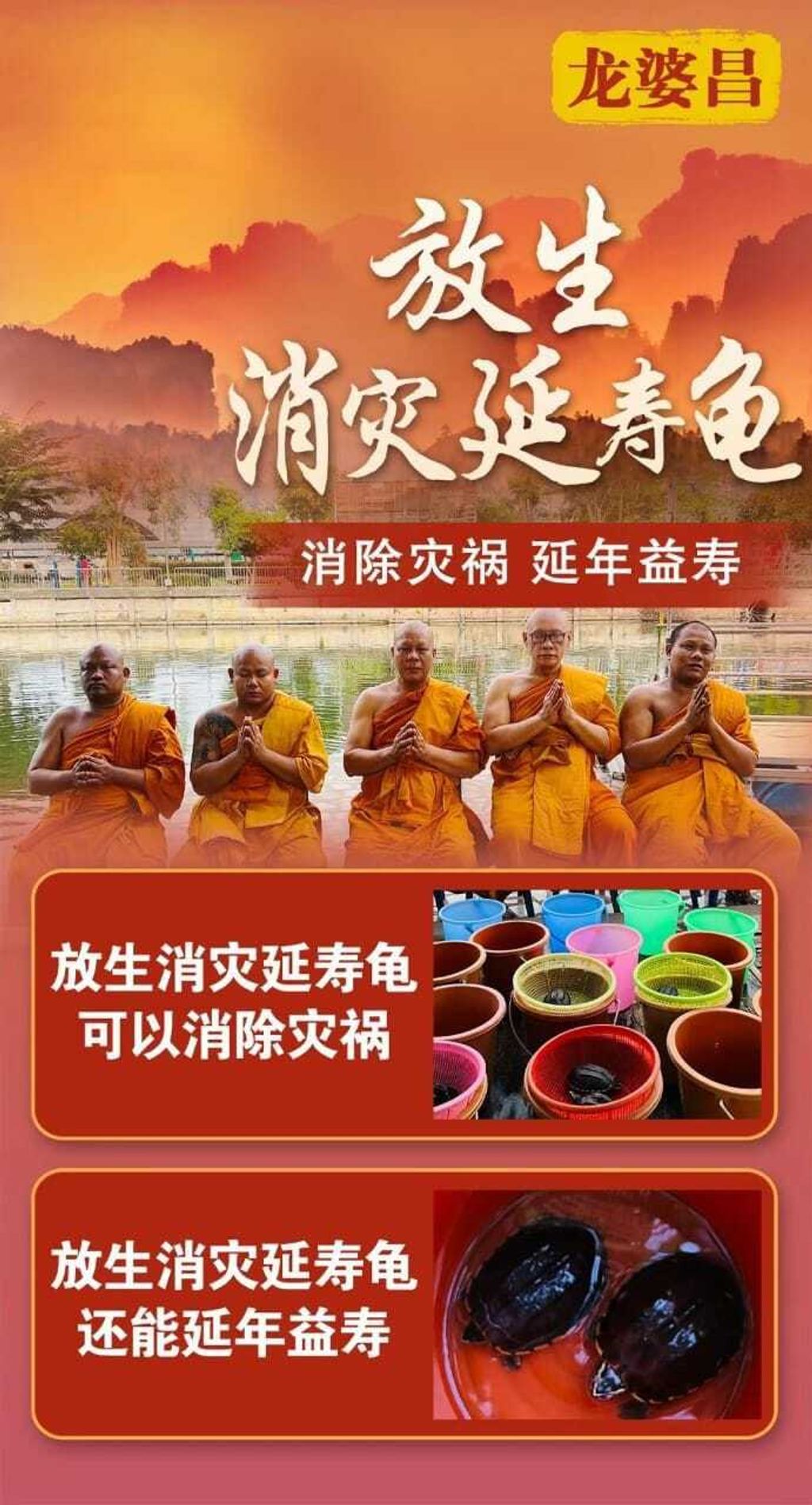 消災延壽龜