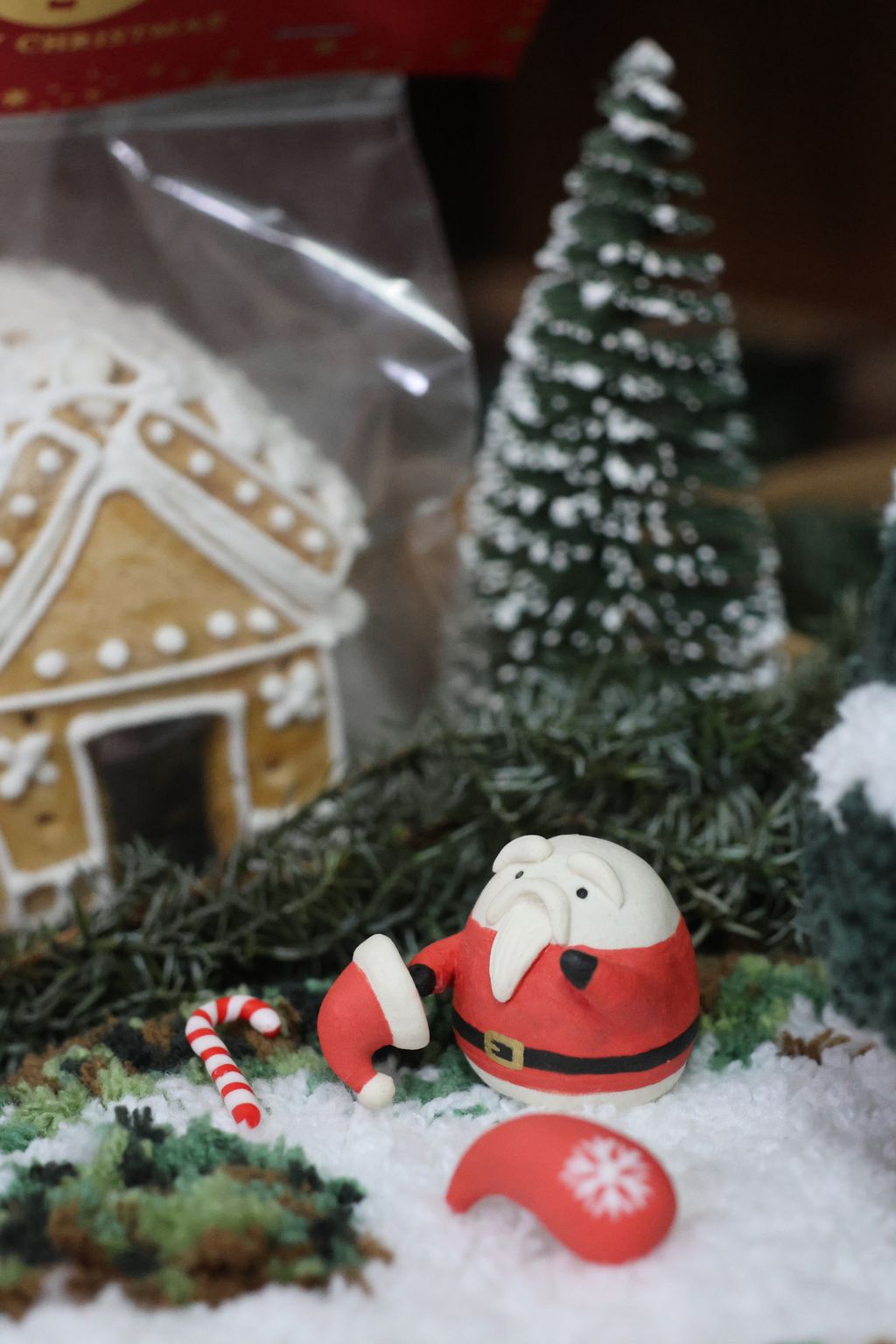 image_77C5B883-5F5E-424D-824C-FEEBC2CDE9EA_1764345521