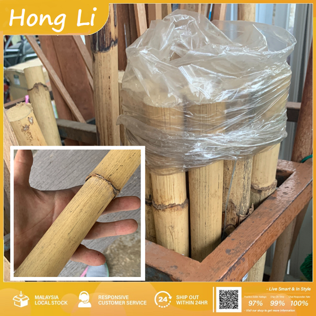 [Xhome] 35'' Cane Handle, Rotan Handle, Rattan Stick, Batang Rotan 藤棍 藤柄 (11).png