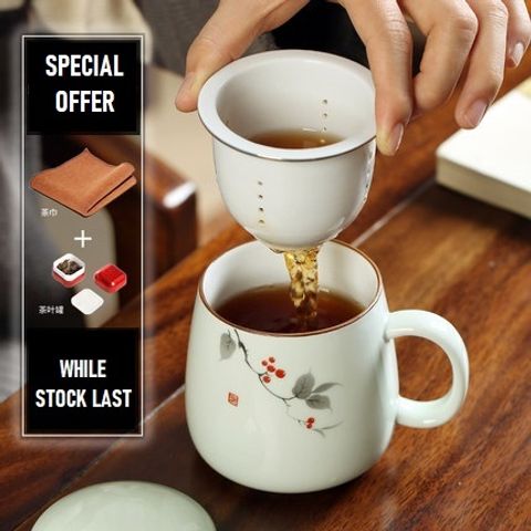 Elegant Porcelain Tea Mug with Filter (5)