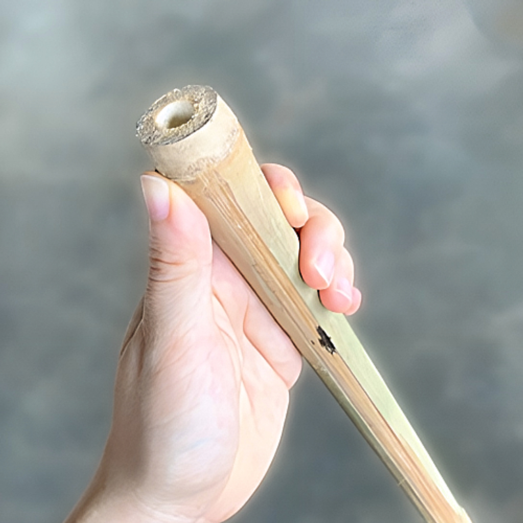Penyapu Lidi_2
