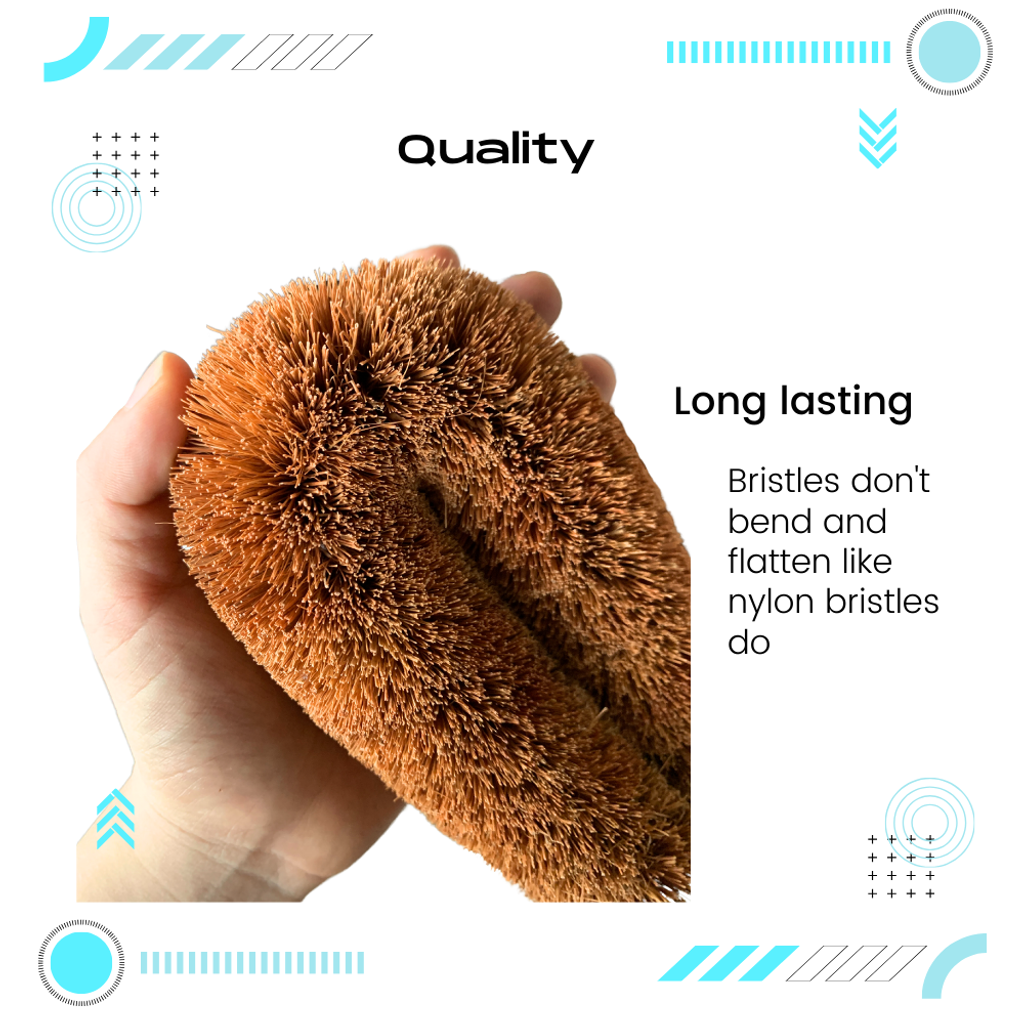 Coconut Brush 3