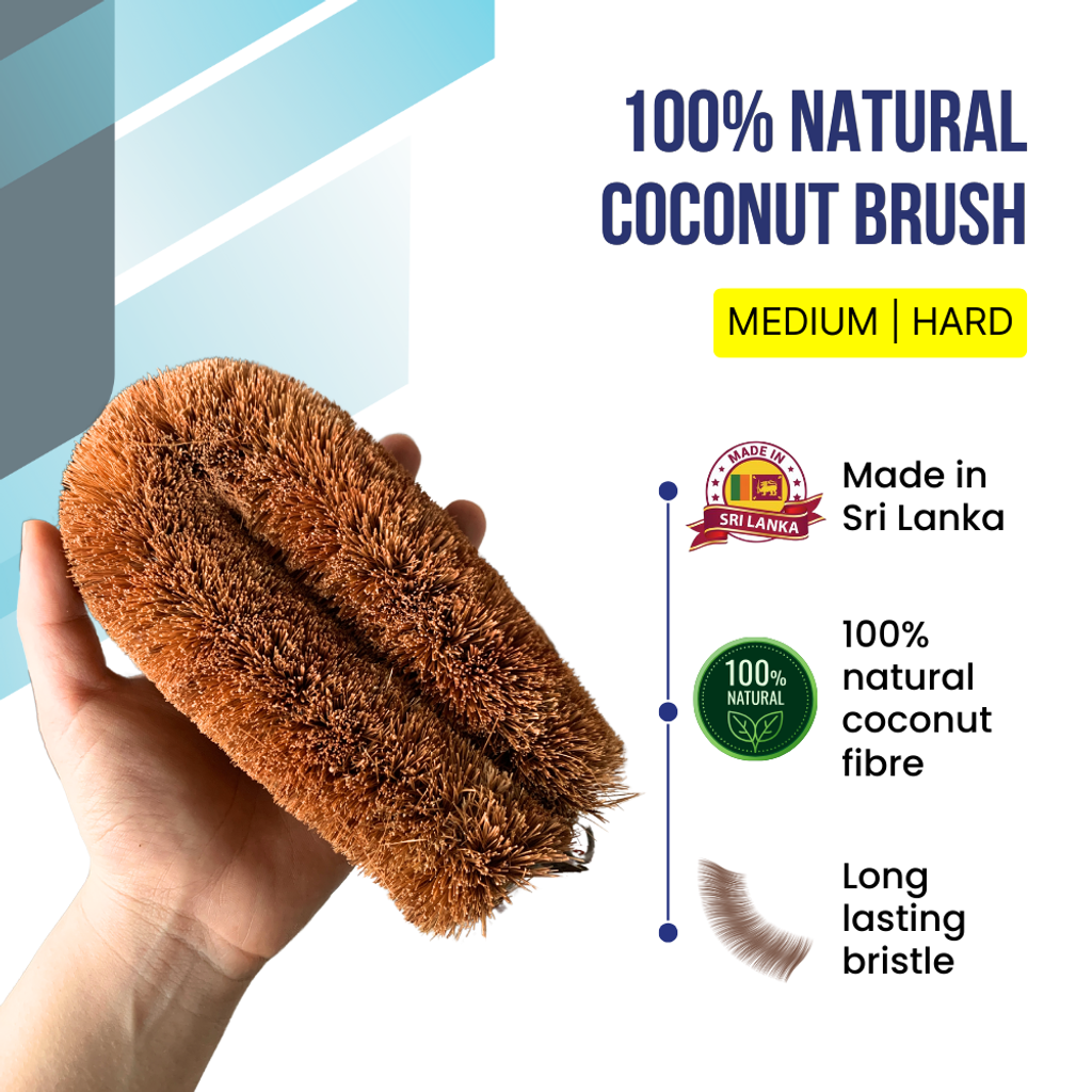 Coconut Brush 1