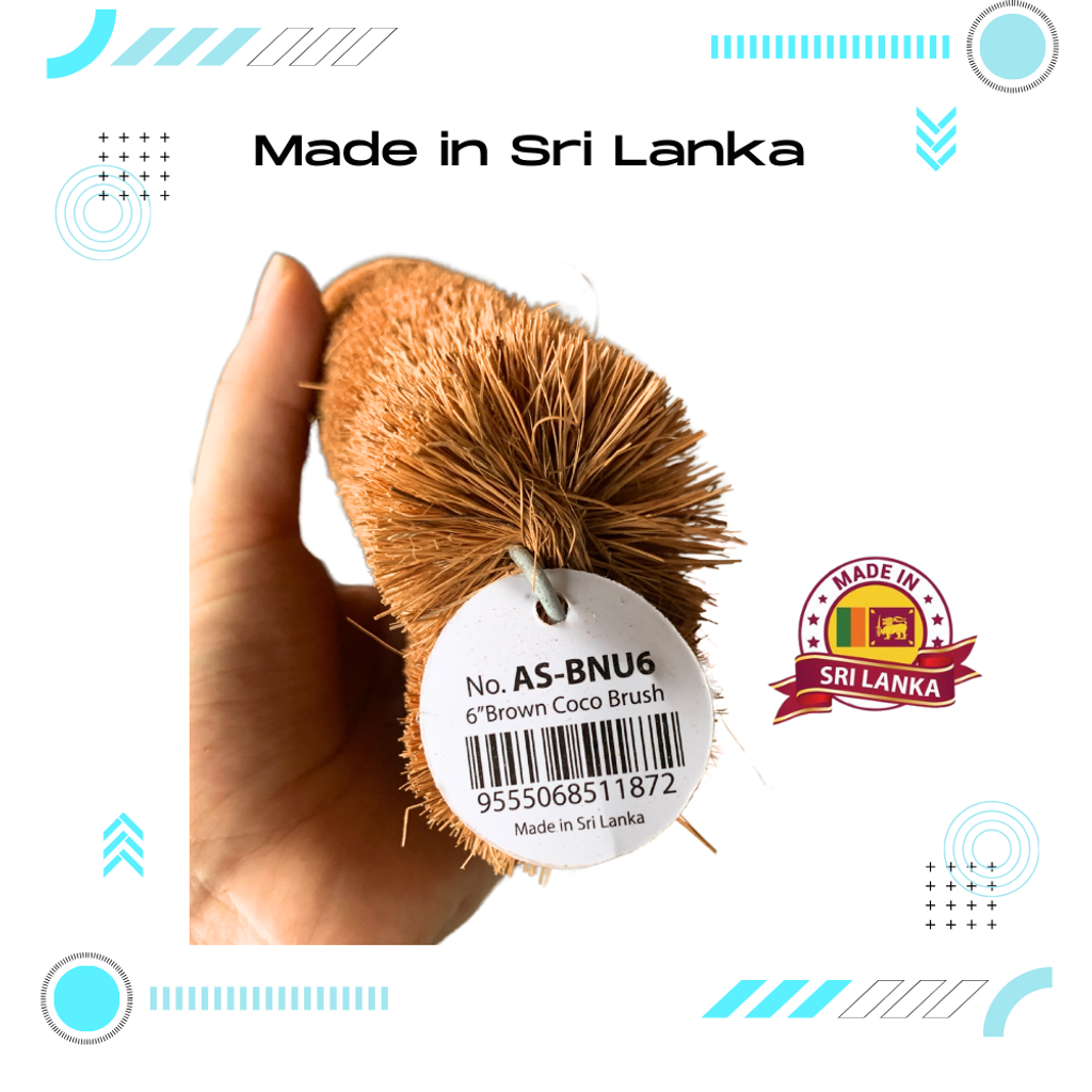 Coconut Brush 2