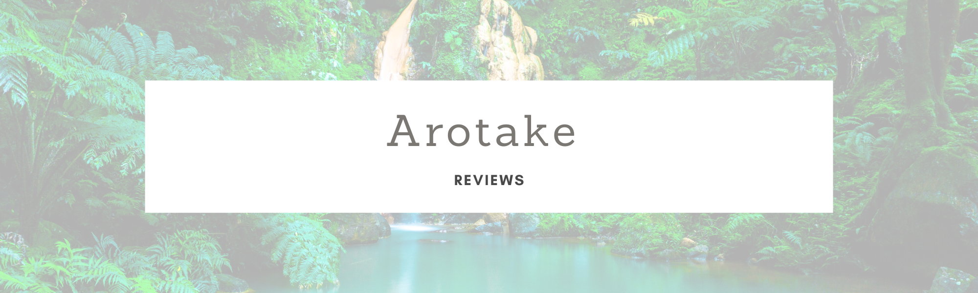 Arotake