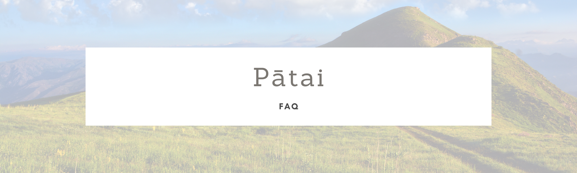 Pātai