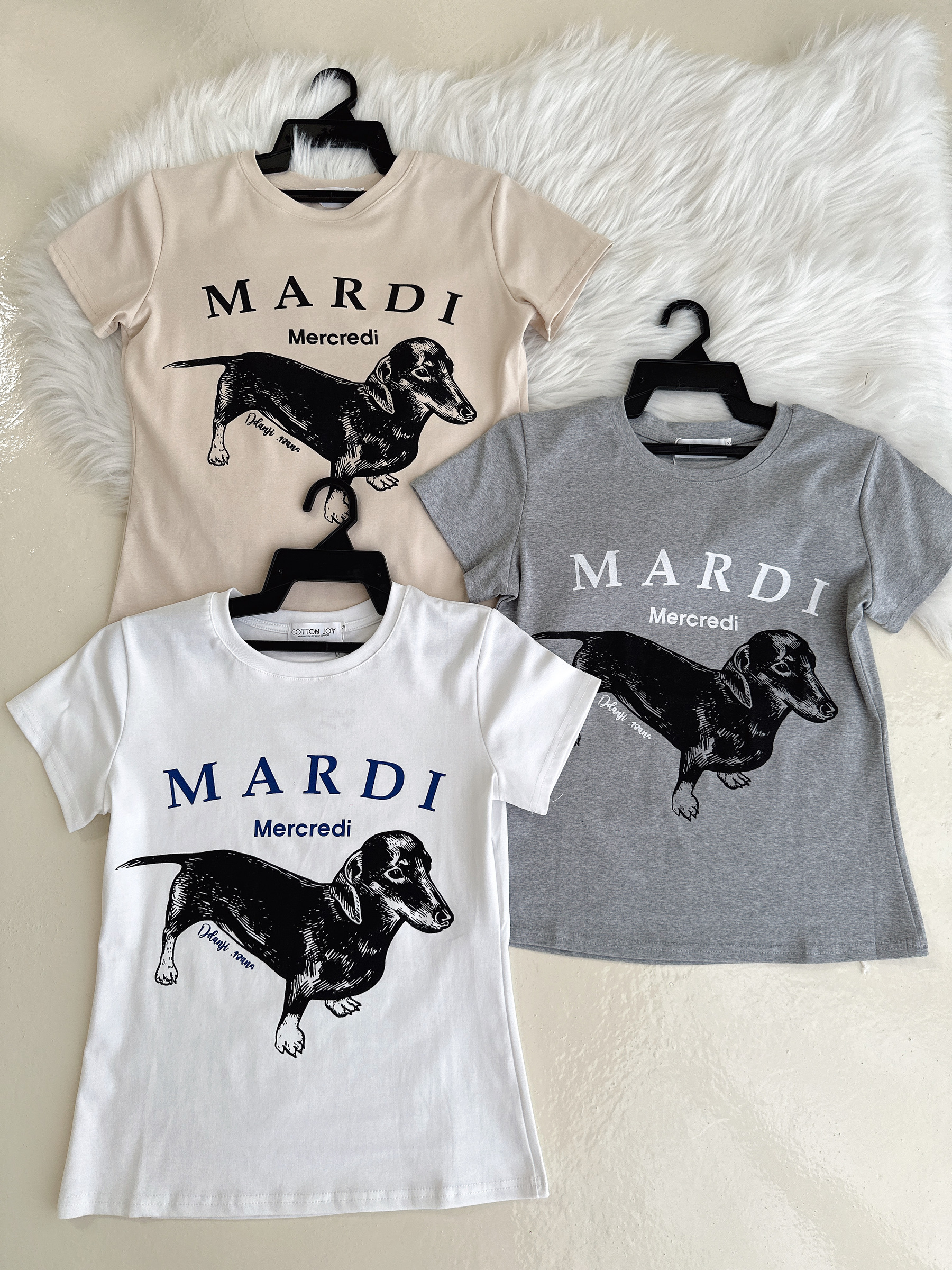 image_C4C565AF-6F07-43F2-99FA-94E9657DACB8_1776182663