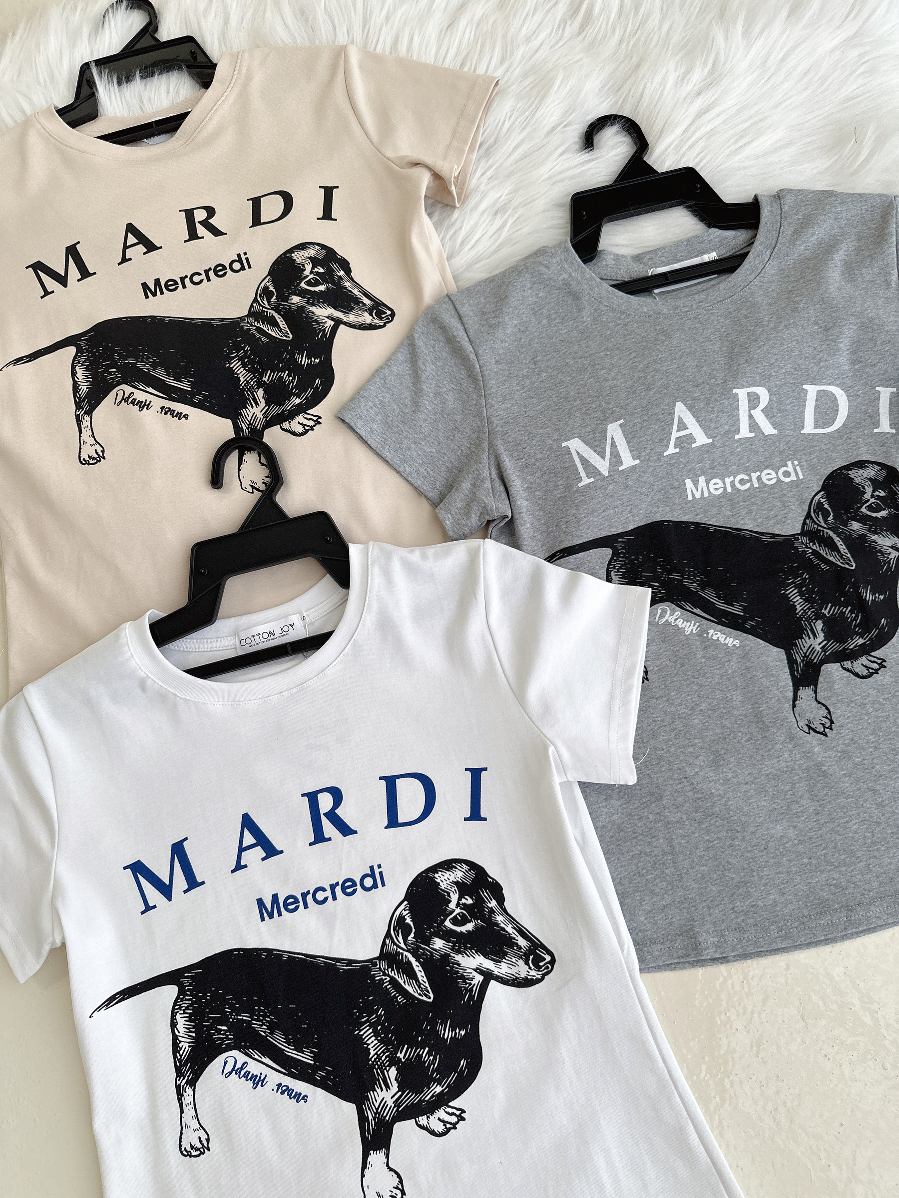 image_3B415BD4-D9A6-4D55-A6DB-03B32779660A_1776182663