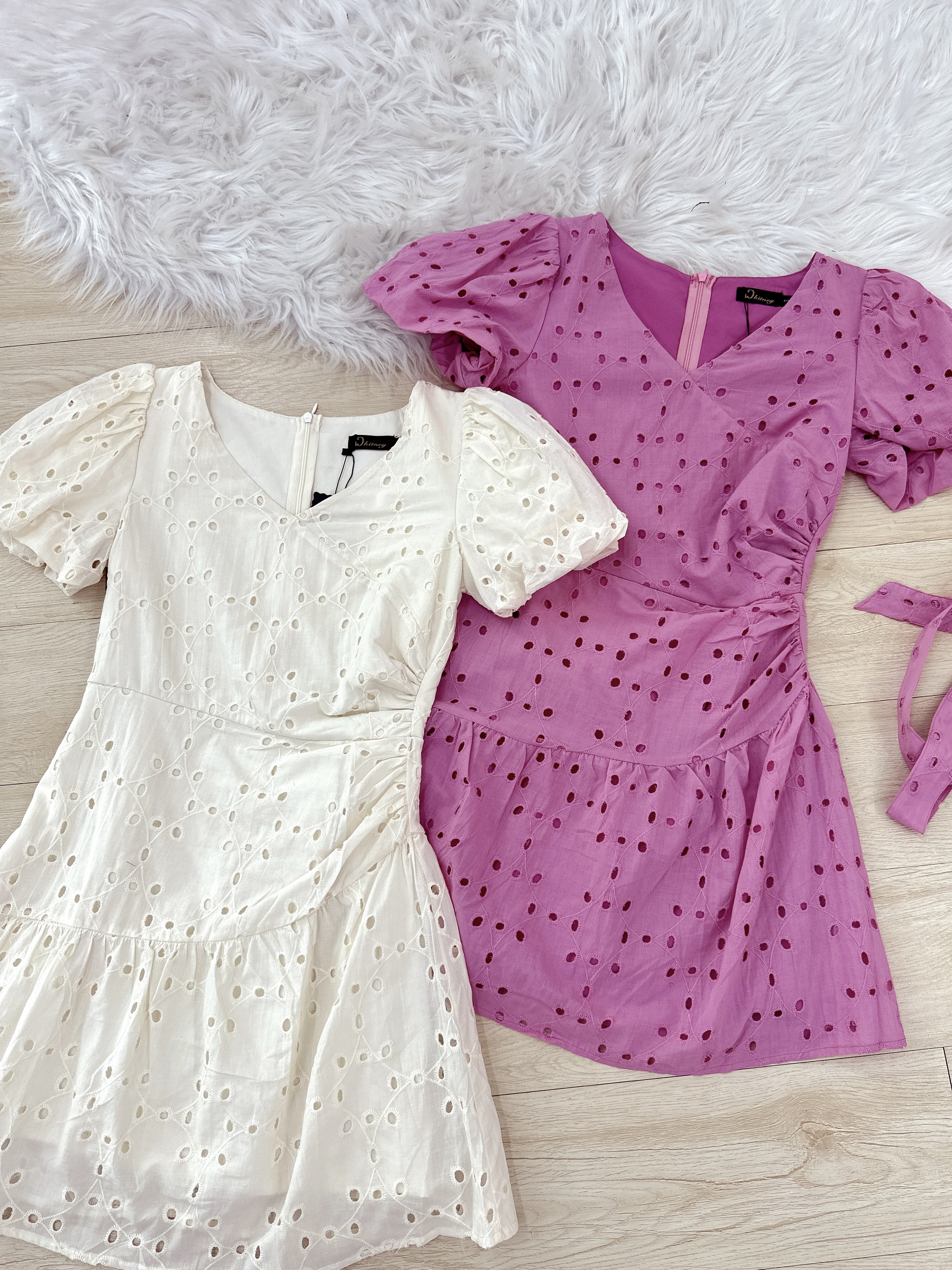 IMG_5061-1731315123942