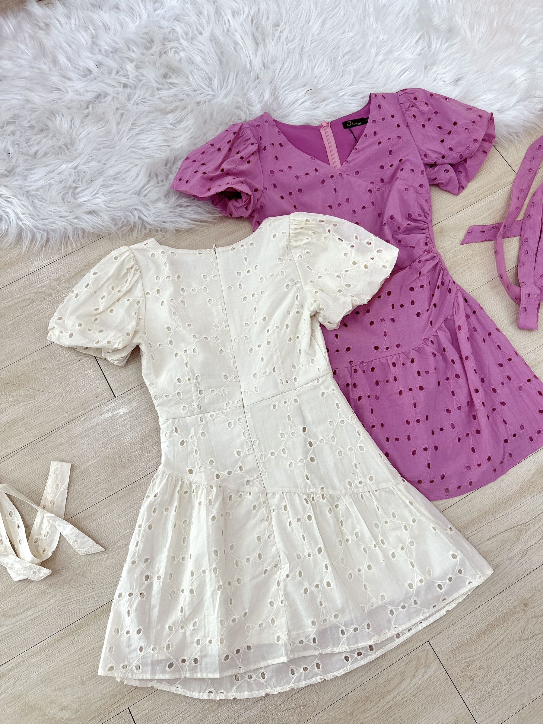 IMG_5062-1731315123951