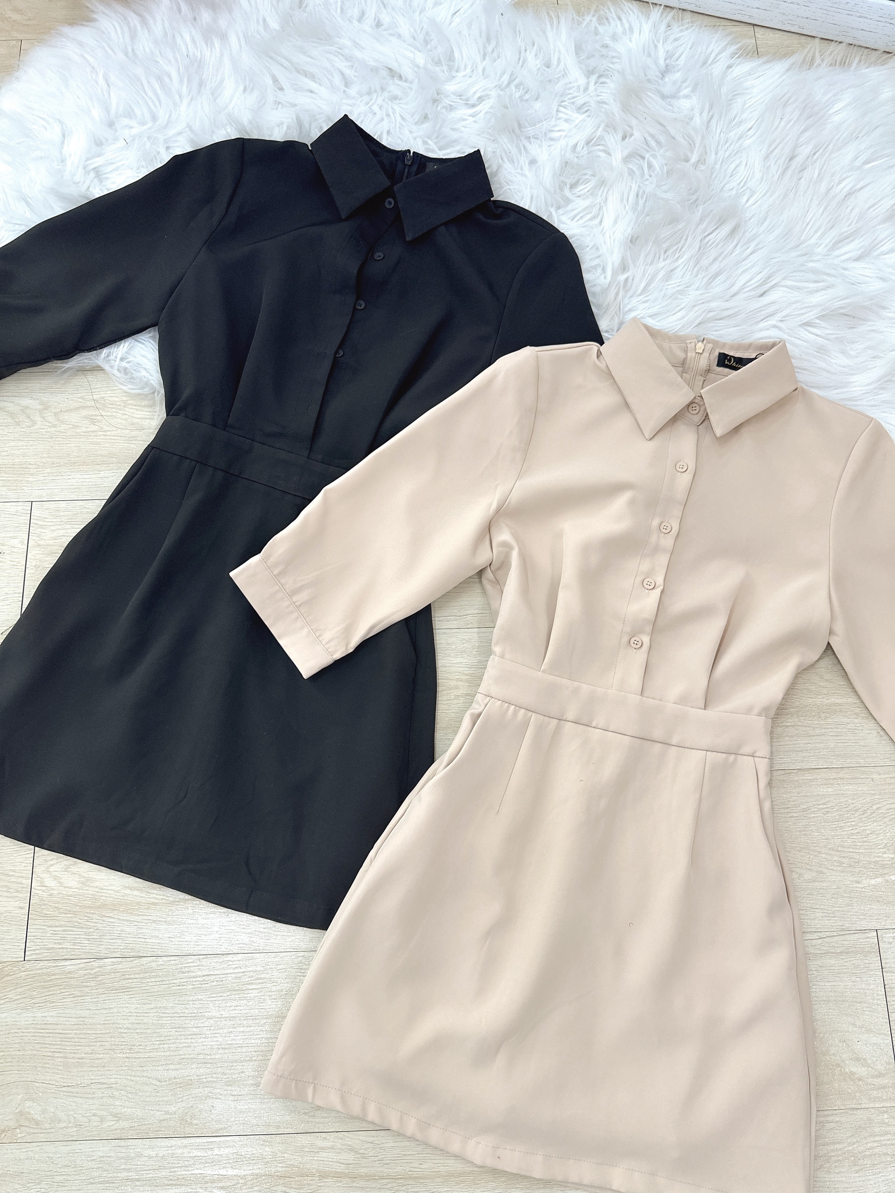 IMG_6359-1731761981575