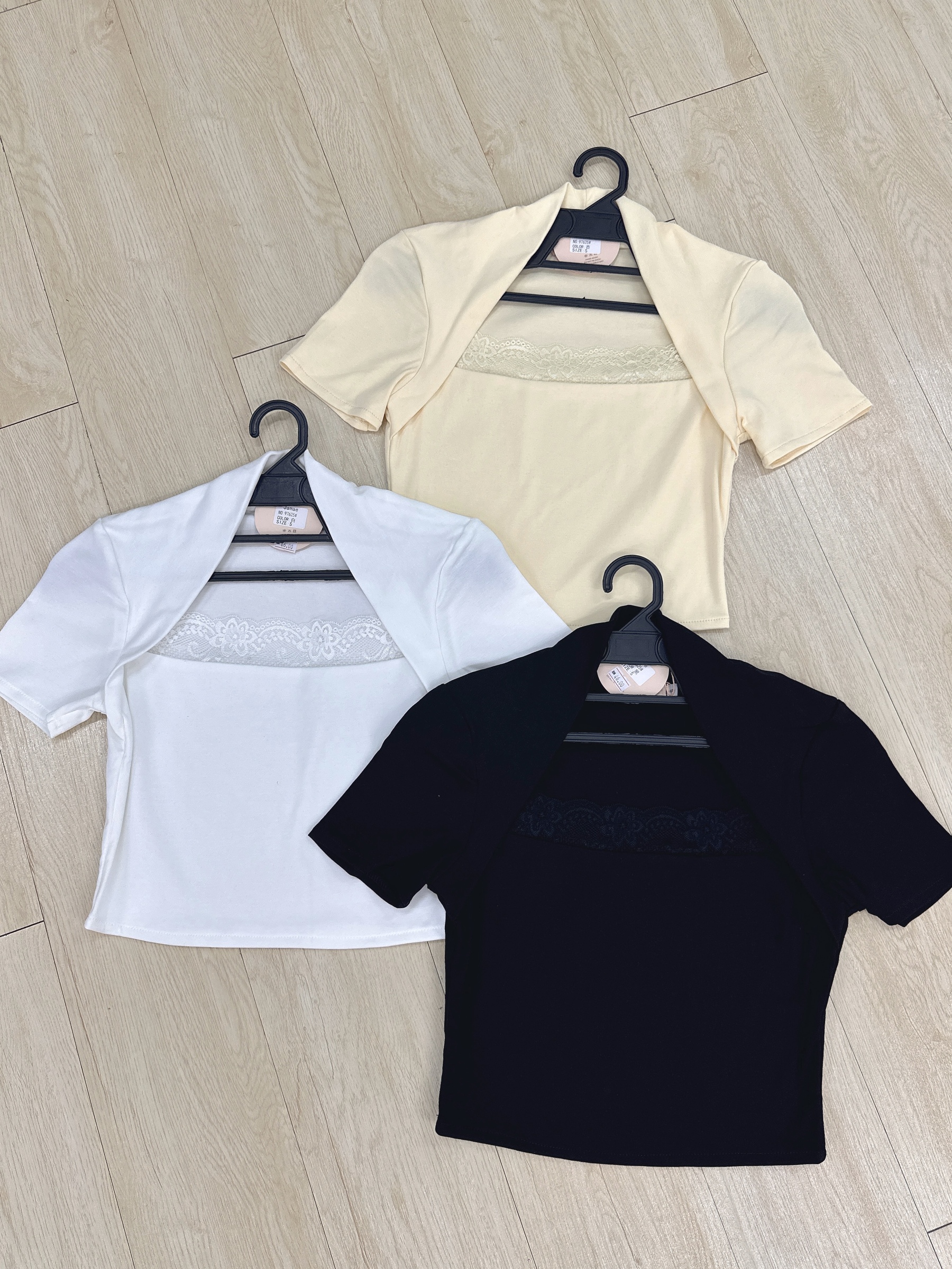 IMG_7824-1733021274652