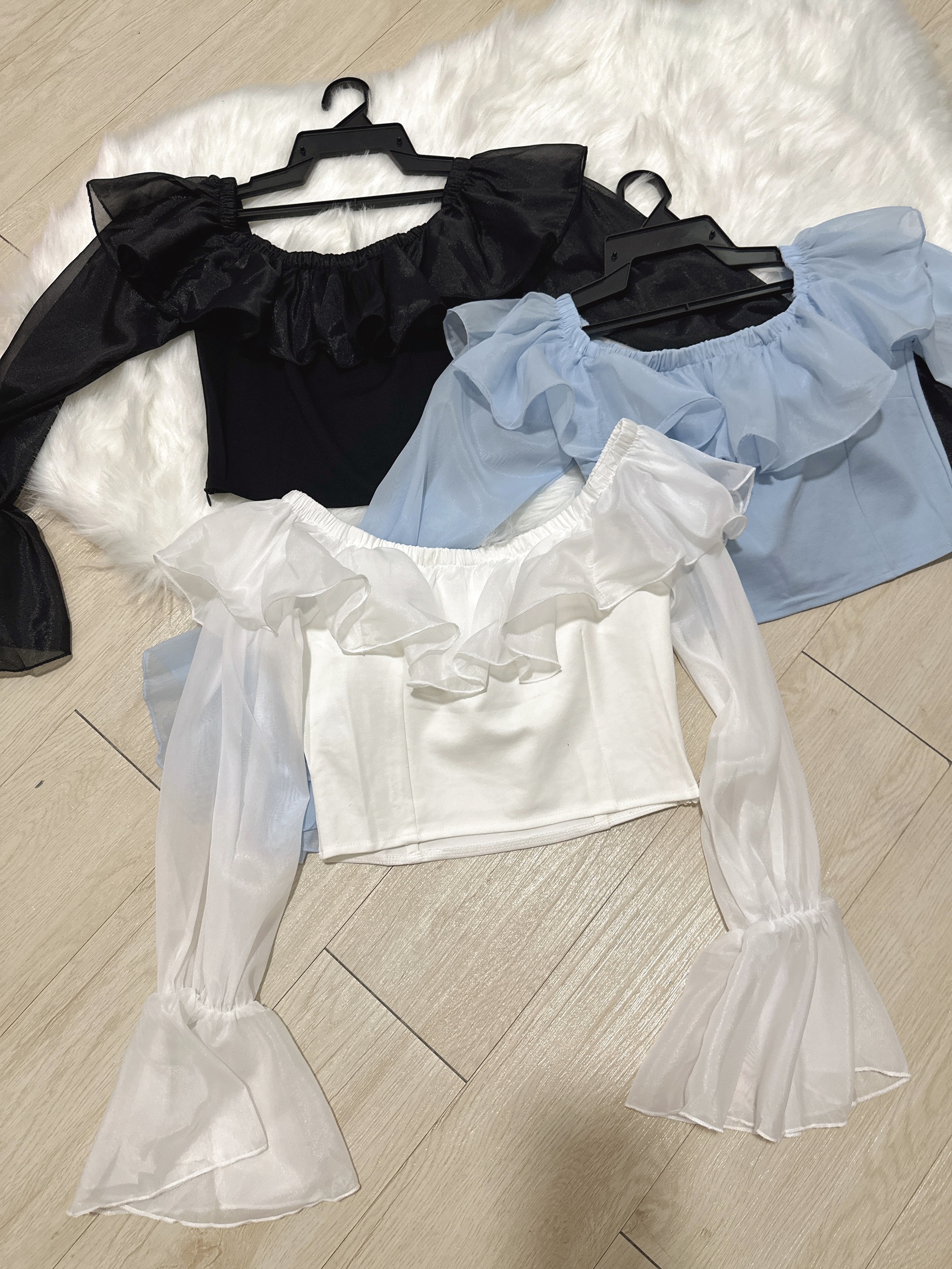 IMG_1389-1735657516675