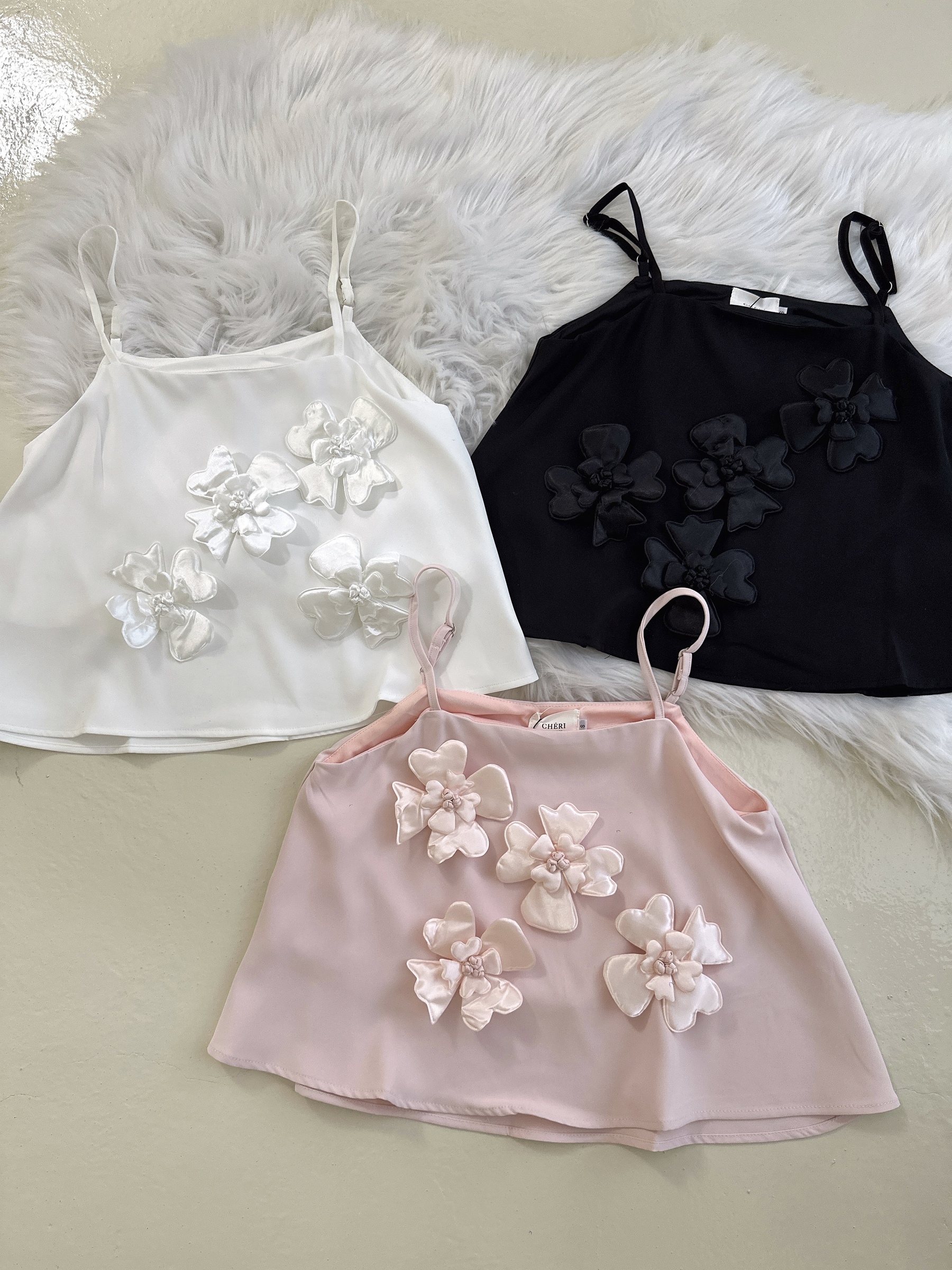 image_0C88AA22-14A6-42F8-BD01-5327DF45C5BD_1766402802