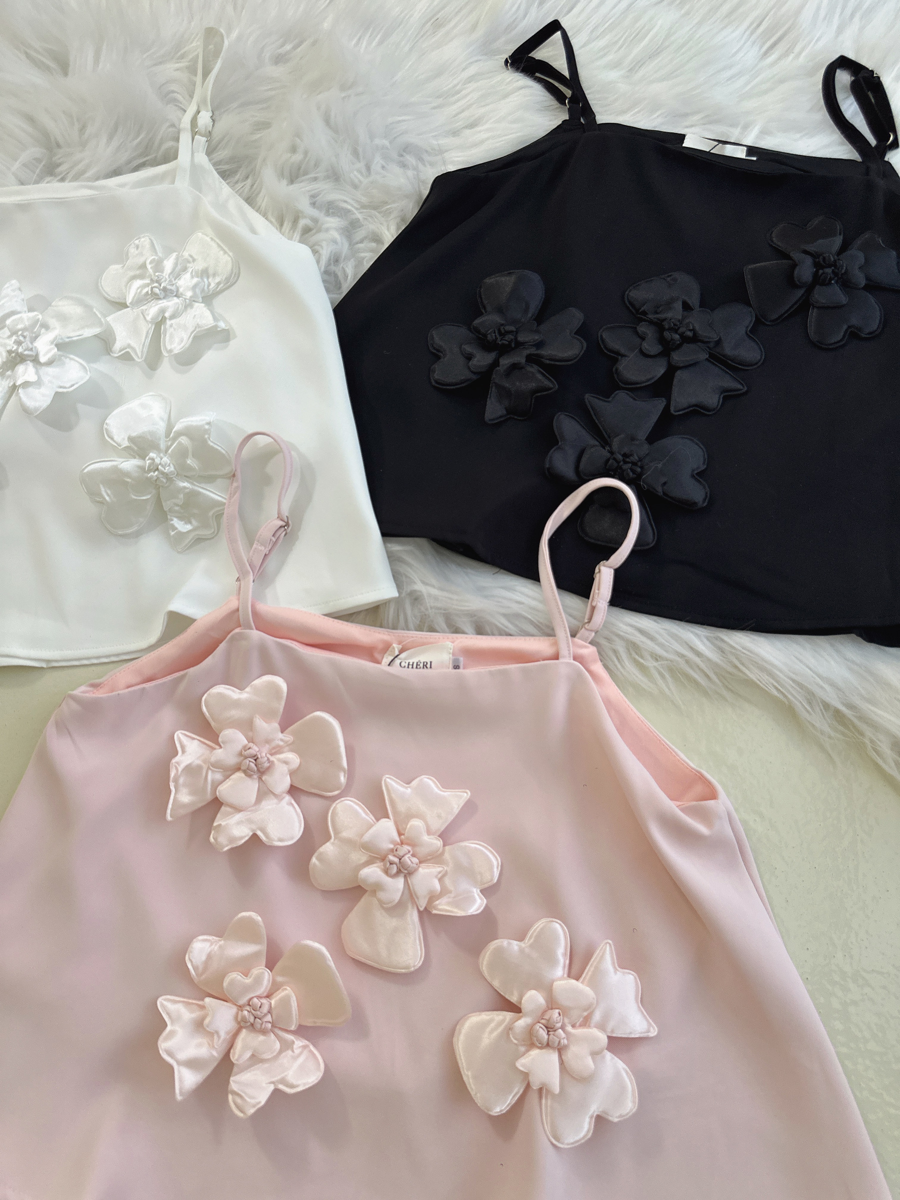 image_C41FE19A-8D75-4C0F-8ABD-1E61393EA0EE_1766402802