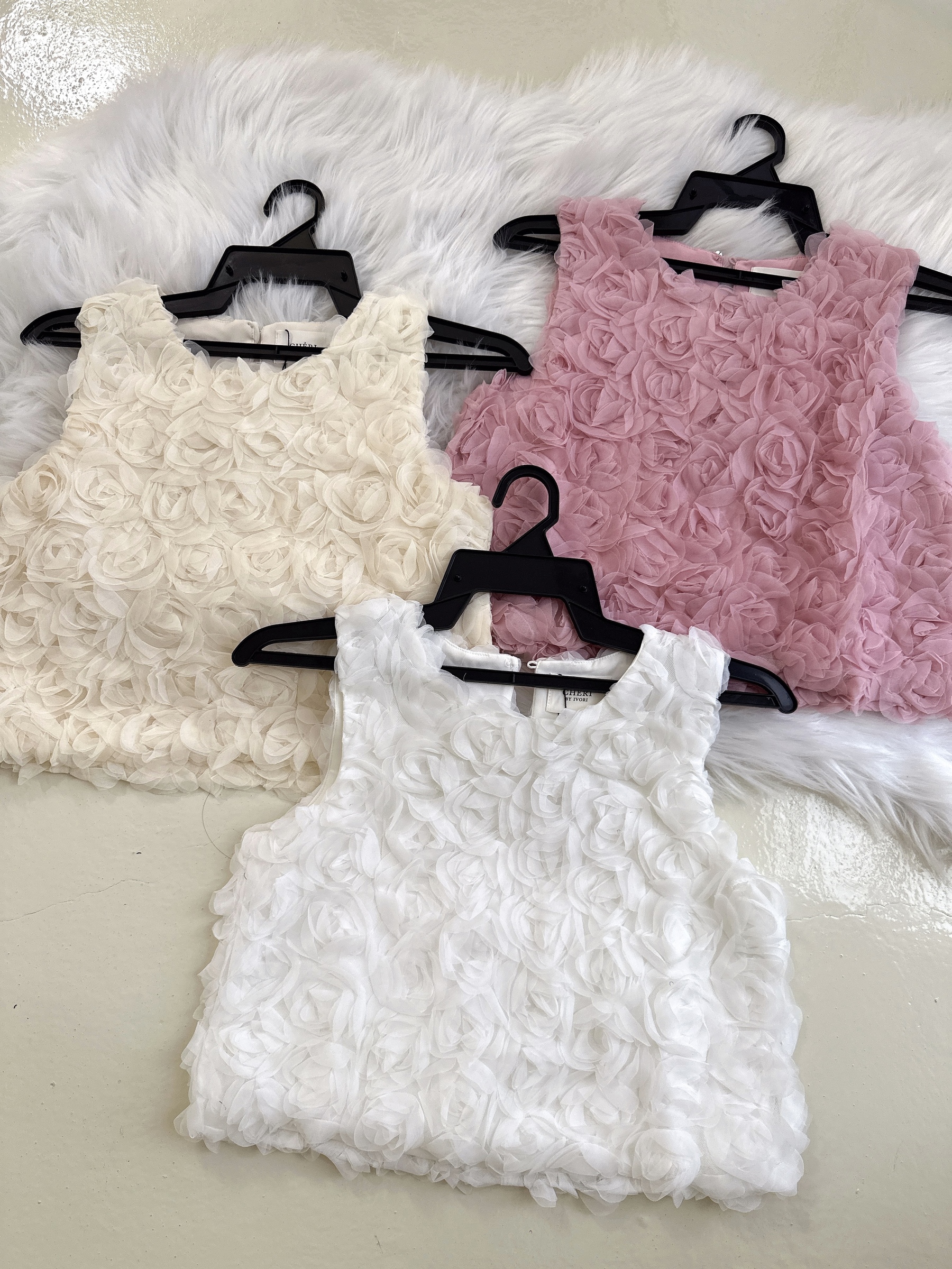 image_38846AAB-6B7D-45AE-8D66-6042FEDEDECF_1768205385