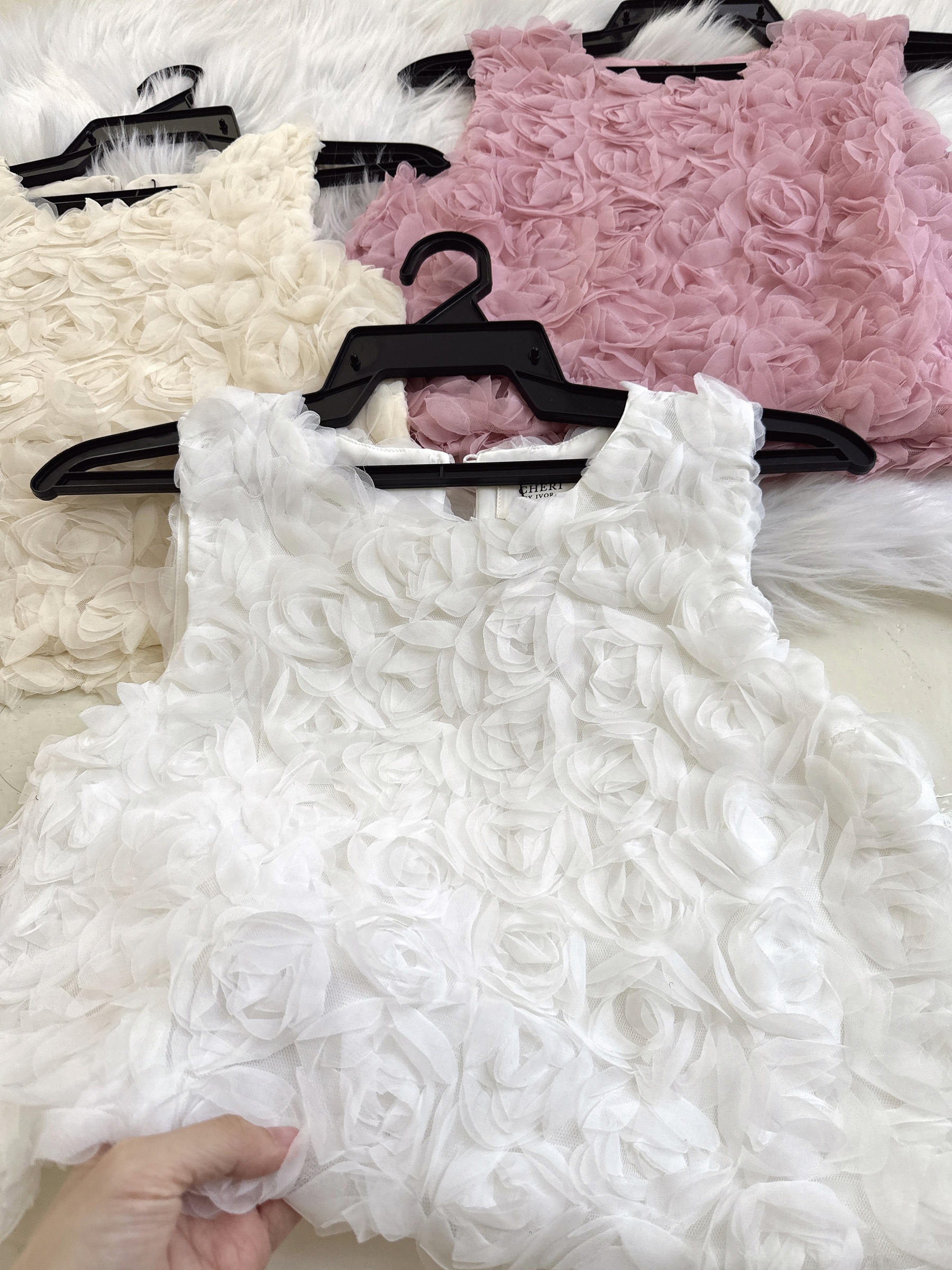 image_70C154A9-4BCE-465F-B486-669A9B599D3A_1768205385