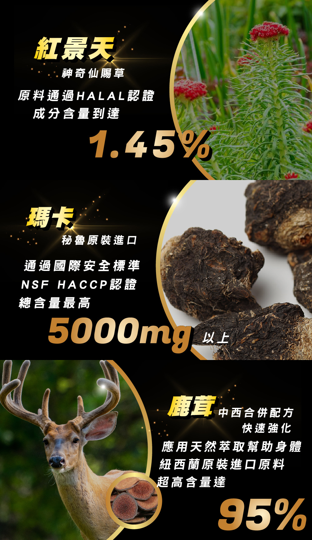 【PM】瑪卡活力膠囊_詳情頁-3