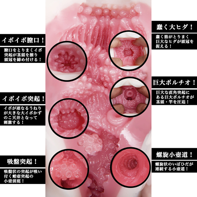 高橋裏子內徑的特色第二張