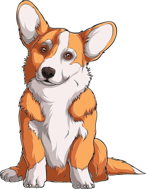 Corgi