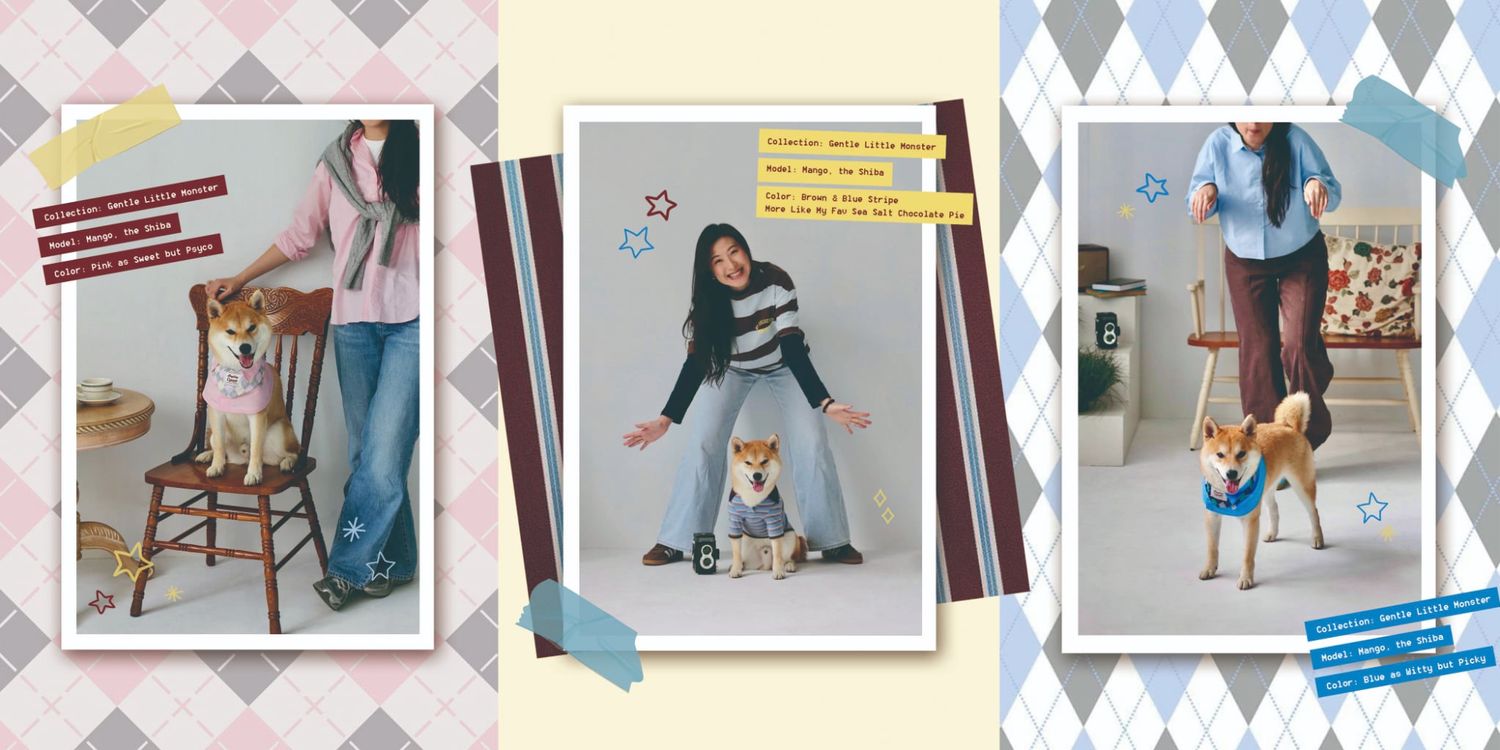 HEYDAY 寵物概念 | Gentle Little Monster Collection