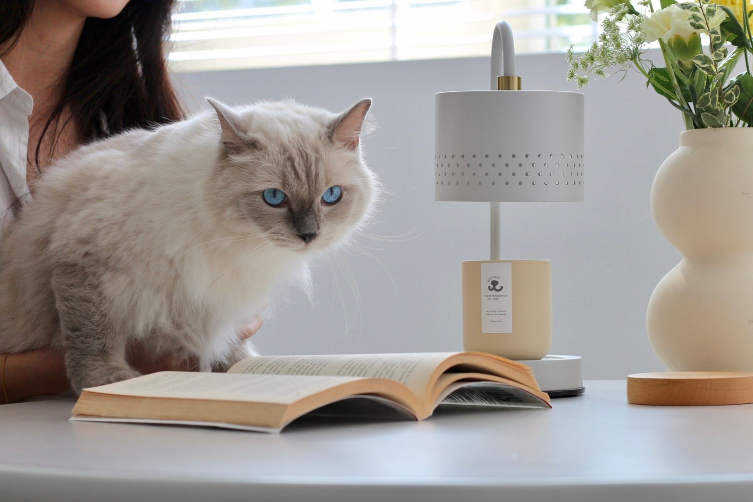 HEYDAY 寵物概念 | 寵物友善蠟燭 任兩件89折