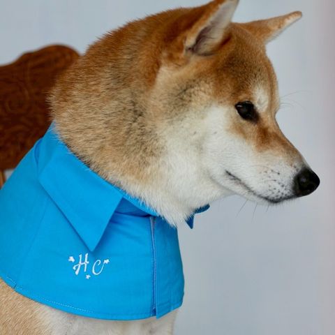 LINE_ALBUM_2025 HEYDAY 新品_251023_79