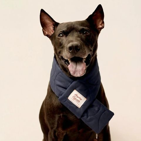 狗圍巾-深藍-哀居尺寸