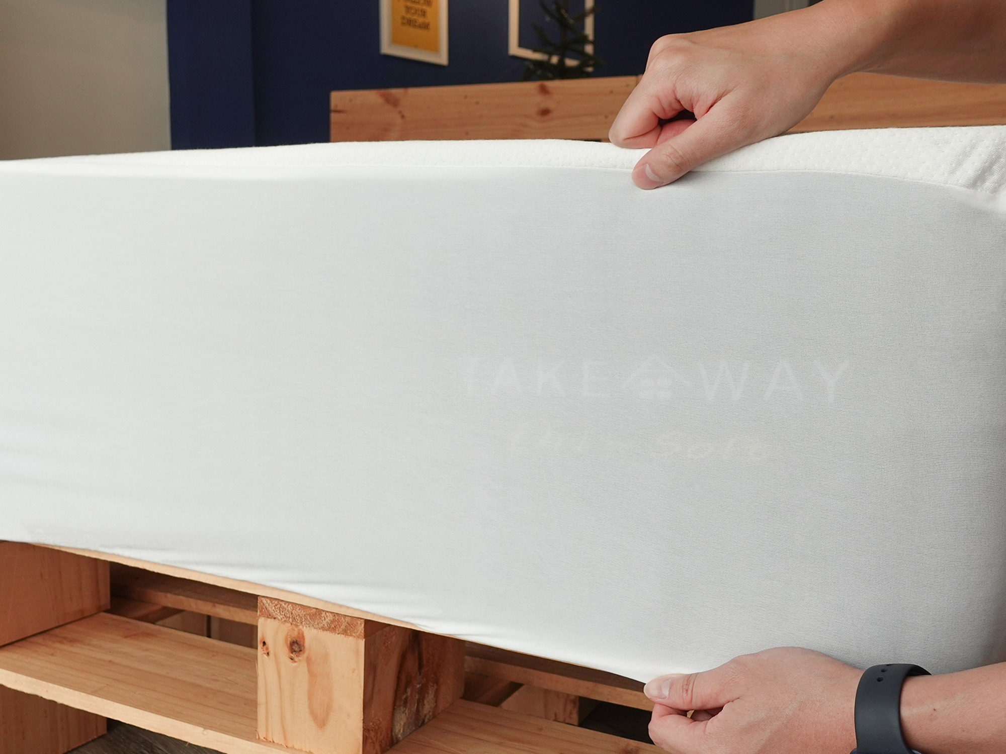 TAKEAWAY Mattress Protector.png