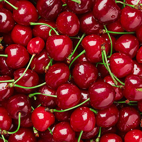 Close up of pile of ripe cherries with stalks and leaves. Large collection of fresh red cherries. Ripe cherries background