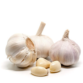 Garlic on white background for food and cooking concept