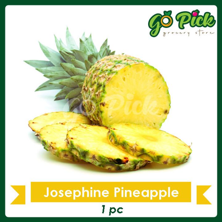 JosephinePineapple_01.jpg