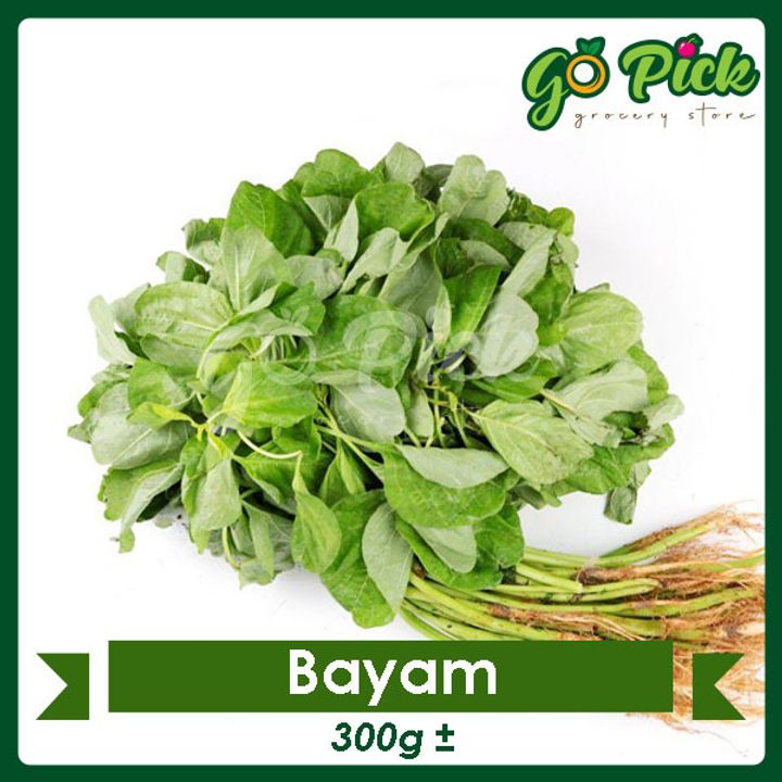 Bayam_01.jpg