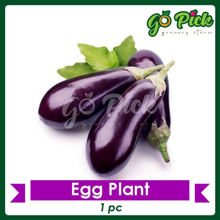 EggPlant_01.jpg