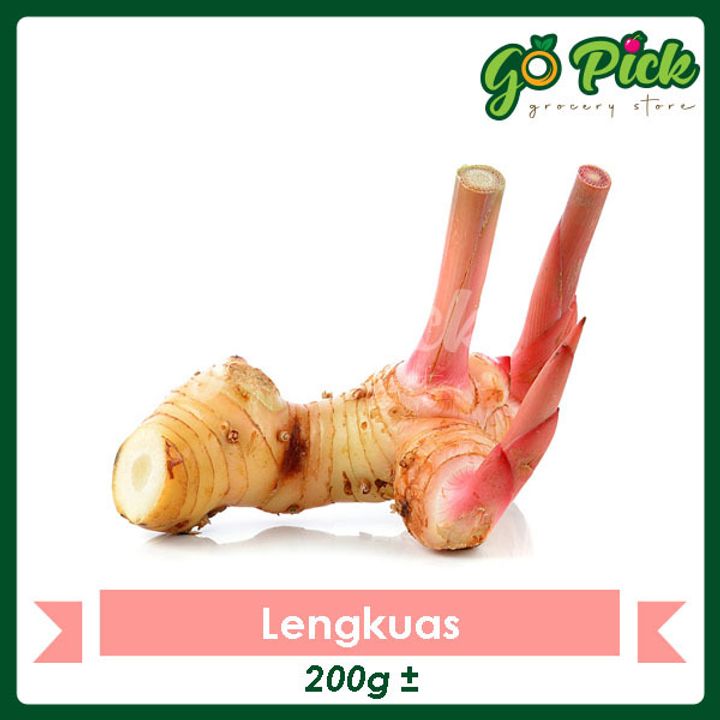 Lengkuas_01.jpg