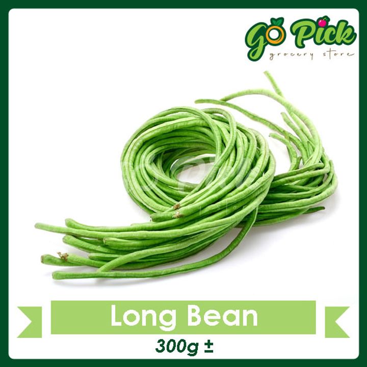 LongBean_01.jpg