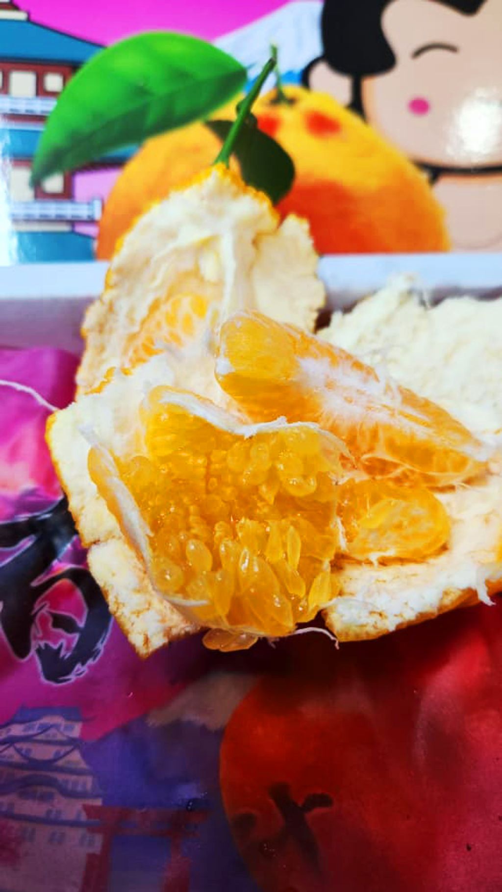 WhatsApp Image 2026-01-14 at 17.15.10