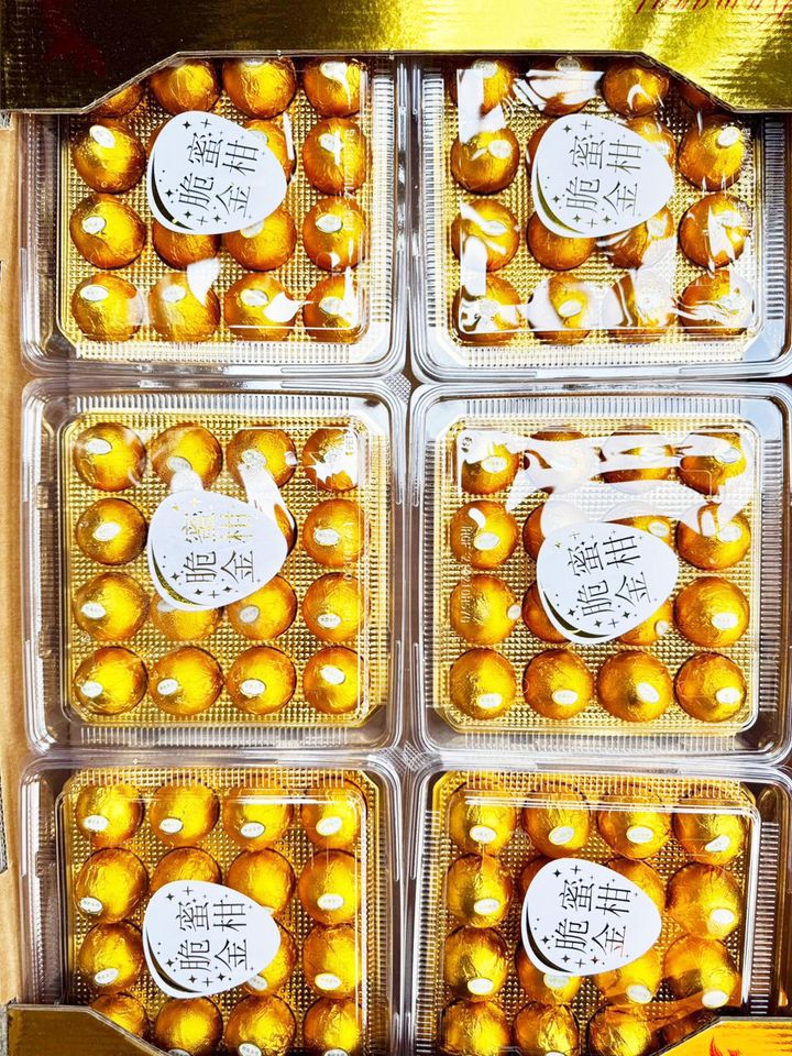 Crispy Kumquat 16pcs x 6 脆皮蜜糖金桔2