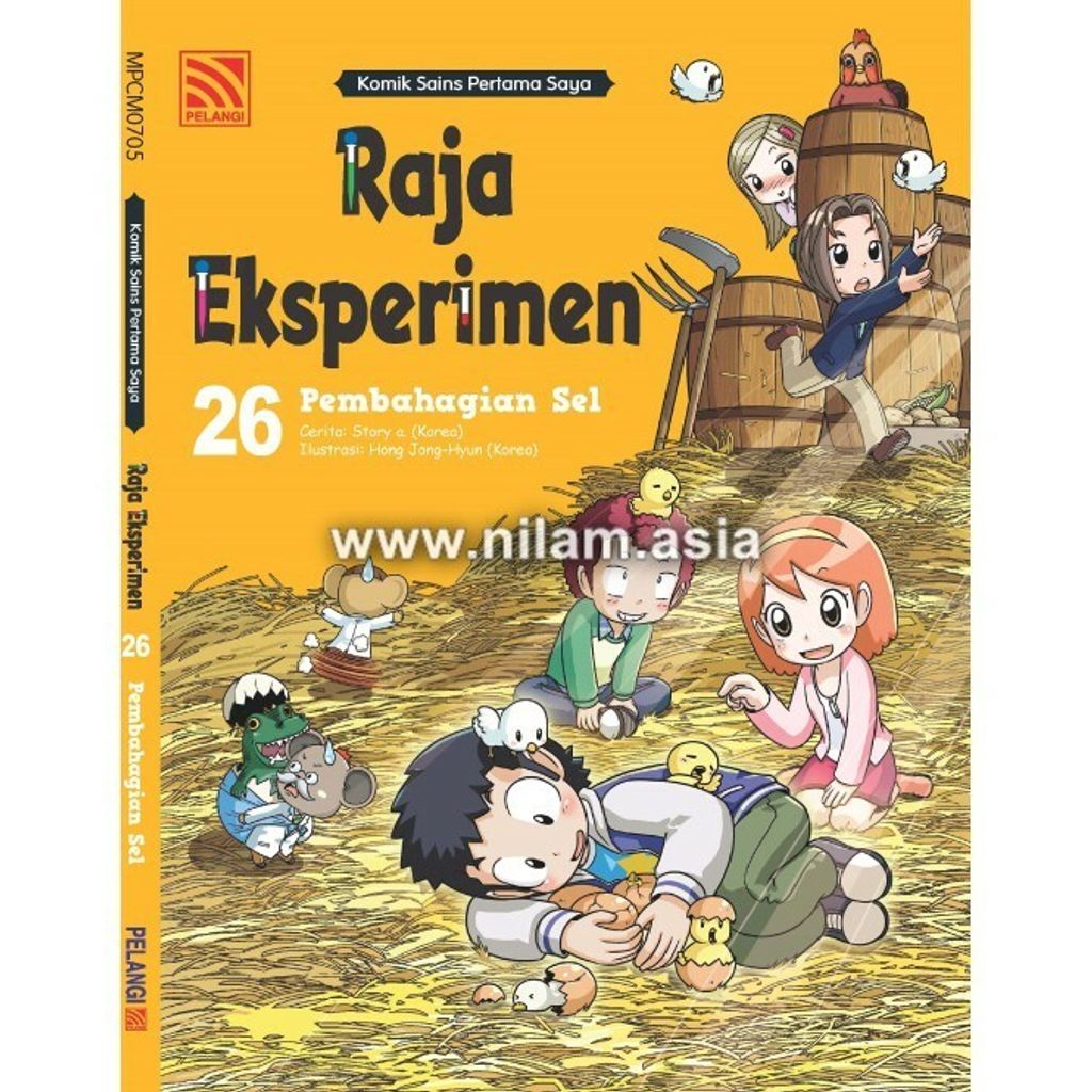 26.jpg