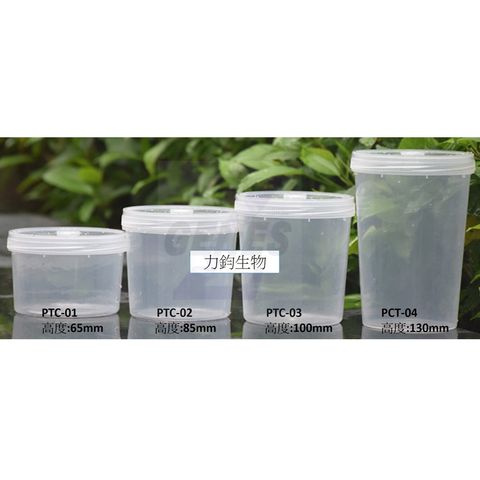 tw-11134211-7r98q-lq9xzb13mj88d5