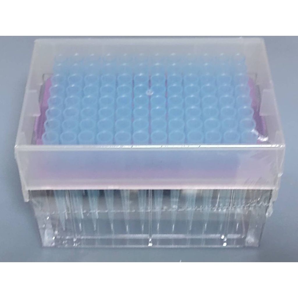 sg-11134201-22120-9sc80ww79kkv02