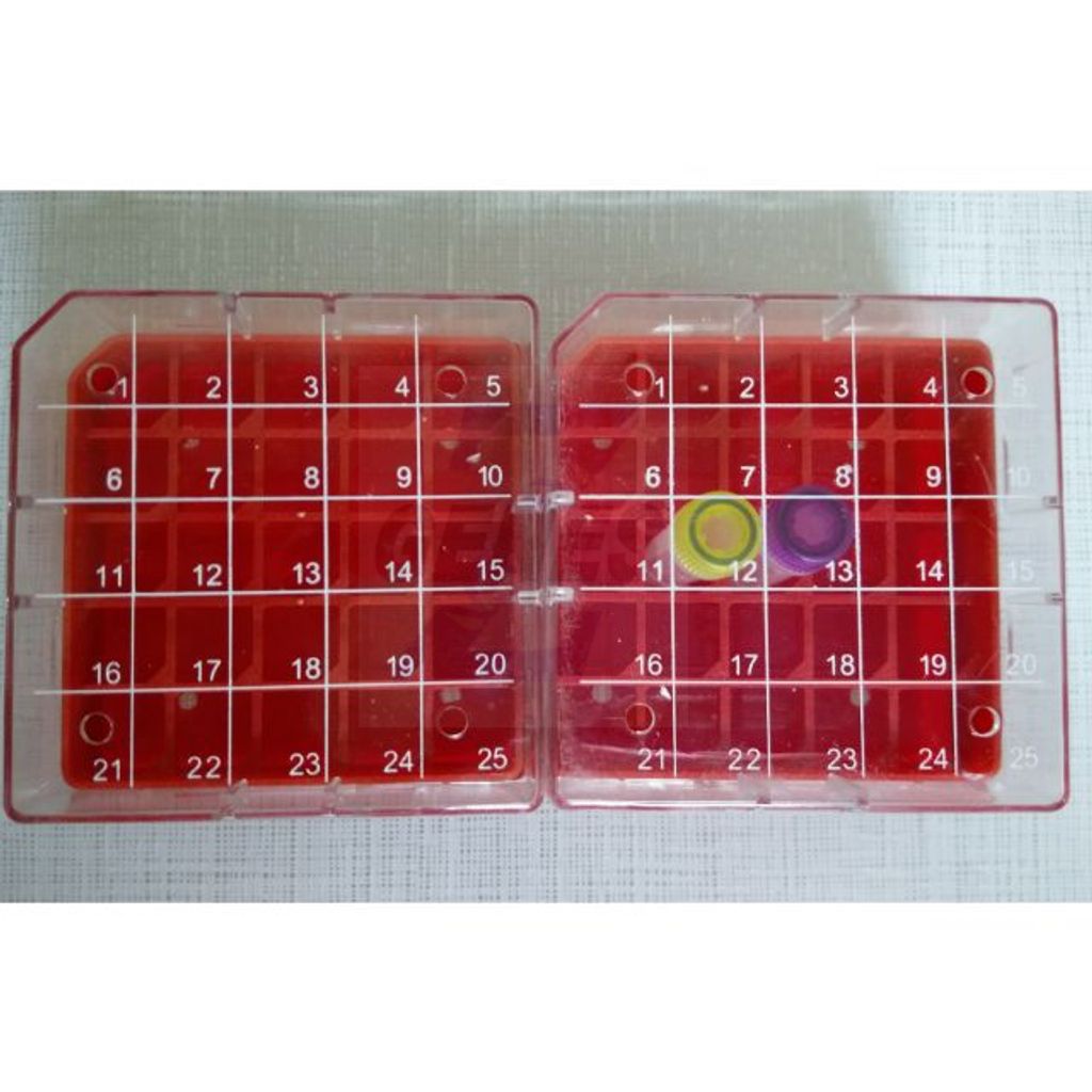 tw-11134211-7r98y-lq9xypotbpj69f