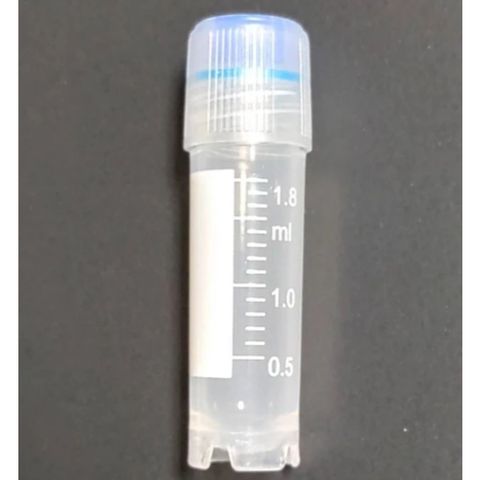 tw-11134207-7rask-m63vstqbrls17f