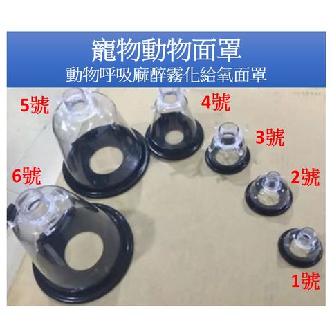 tw-11134207-23020-gvsttq0pibnva7