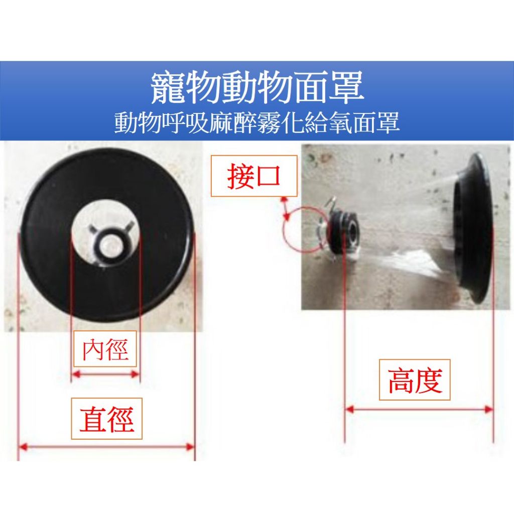 tw-11134207-23020-zgvmr3hqibnv5d