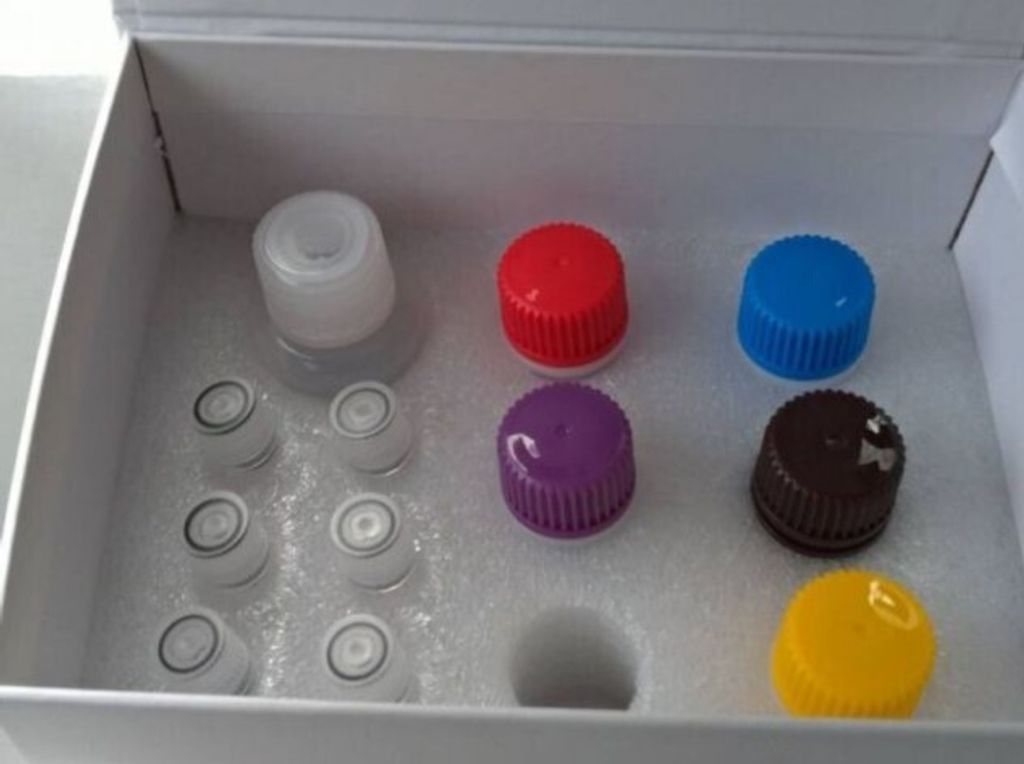 ELISA KIT 2