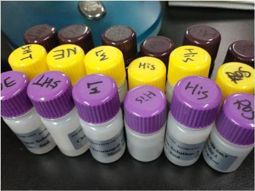 elisa kit buffer zgenebio5