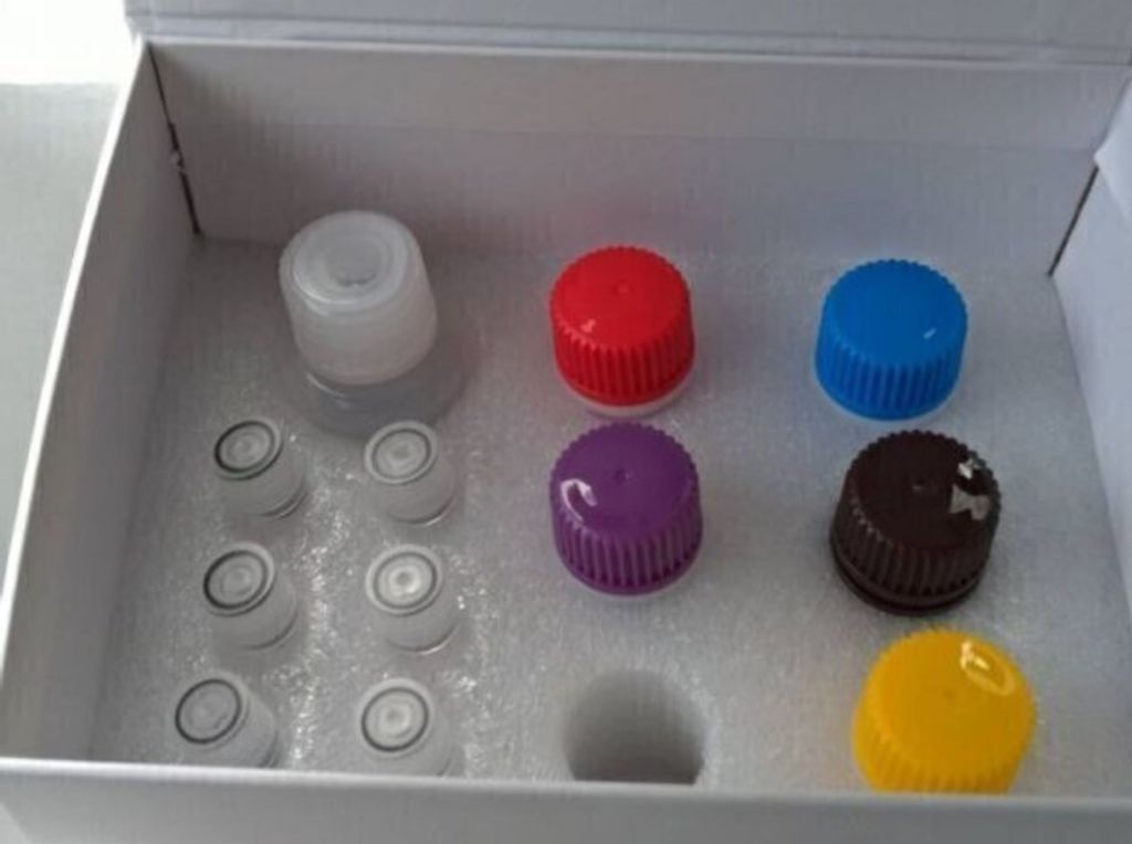 ELISA KIT 2