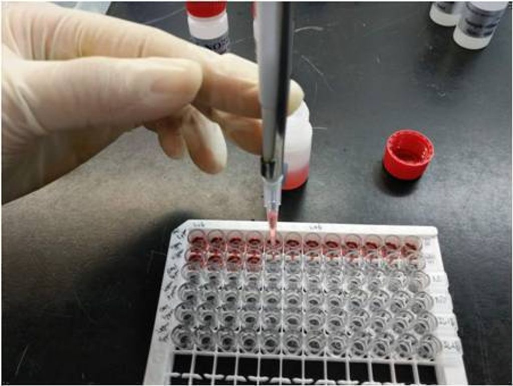elisa kit buffer zgenebio4